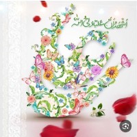 Parvaneh