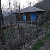 گیل بانو