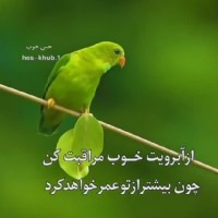 سفره ایرانی