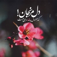 مژگان