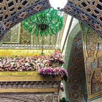 وحیده صدری