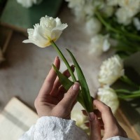 ✨حــوراء✨