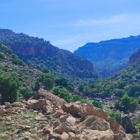 مامان فرشته ها
