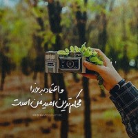 Zahra 1386