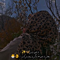سر آشپز نغمه