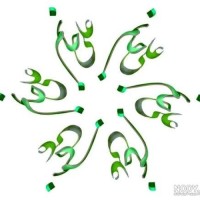 فاطمه قادری