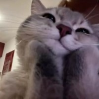ˢᵃʳᵃ