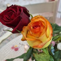 Fatemeh