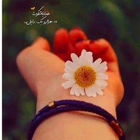 Zahra 1386