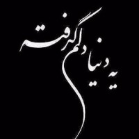 zinat