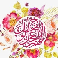 Najmeh.73