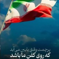 ‌‌‌شف سادات