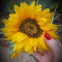 ☆مریم گلی☆