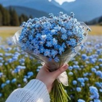 samira.aseman