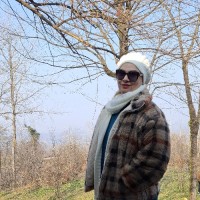 Ima salehi