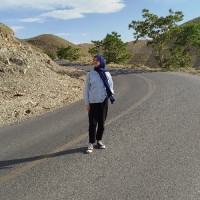 Mahdisa_n85