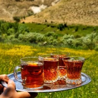 نسترن گلی✔️