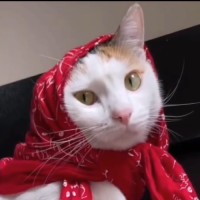 °•مامانِ مَهسا•°