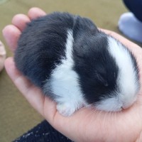 ❉͜͡❤عسل بانو❤❉͜͡