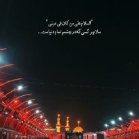 sadat08