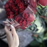 Fateme.zah
