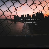 ♡شکوفه بهاری♡