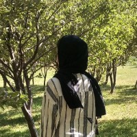 بوغدا