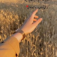 farhaneh