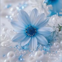 فرزانه ۶۵۷۰