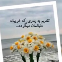 نازنین ملیکا