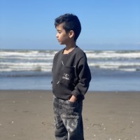 ویدا