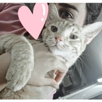 Nasim‌.sadeghi