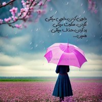 سادات