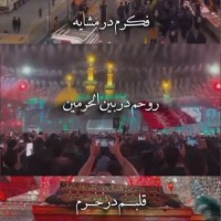 نسیم از شمال