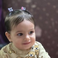 شقایق
