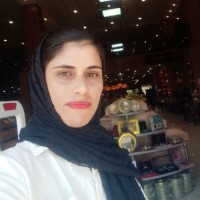 فرزانه جهان پیما