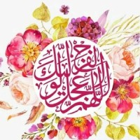 Najmeh.73