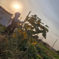 ❤ماه بانو❤