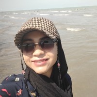 mobina.chef
