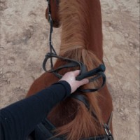 leila