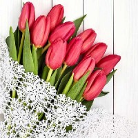 آشپز تازه کار
