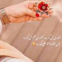 Zahra1386