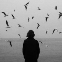 ◝سـتایش ◟