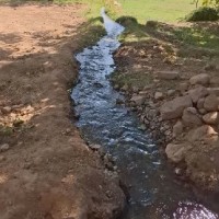 پریسا