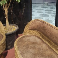 ادمین‌شیکستون
