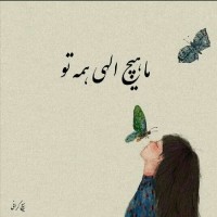 ‌‌‌شف سادات