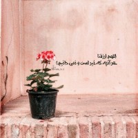 sahar.m
