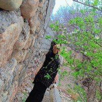 خانم آقا،احسان