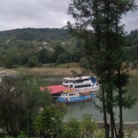 (یاسی جمالی )