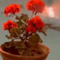 سفره ایرانی